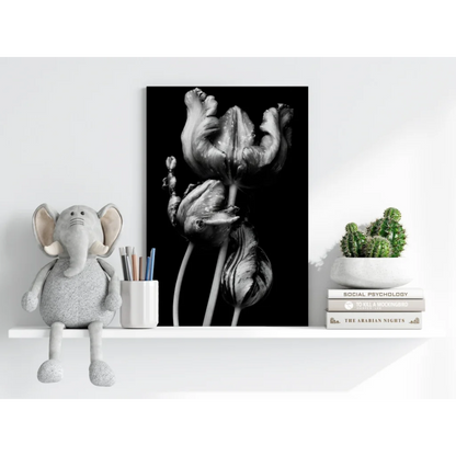 Dramatic black-and-white close-up of tulips on Insigne aluminum prints