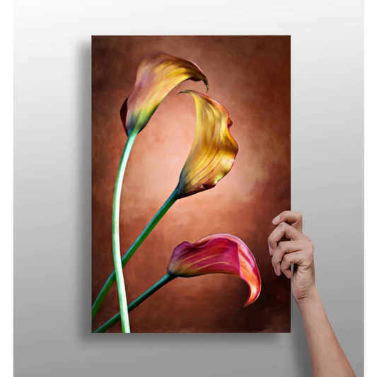 Stunning Gradient Calla Lily Insigne Aluminum Prints | Insigneart USA | vintageantiquesgifts.com