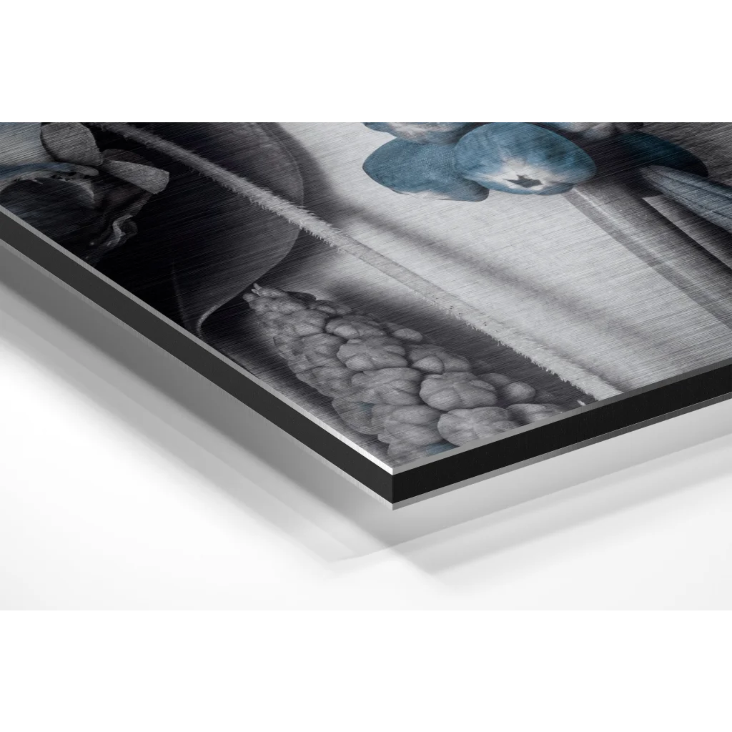 Stunning brushed aluminium dibond print of monochromatic botanical still life with teal accents