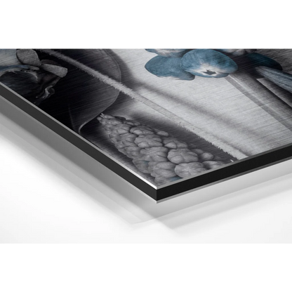 Stunning brushed aluminium dibond print of monochromatic botanical still life with teal accents
