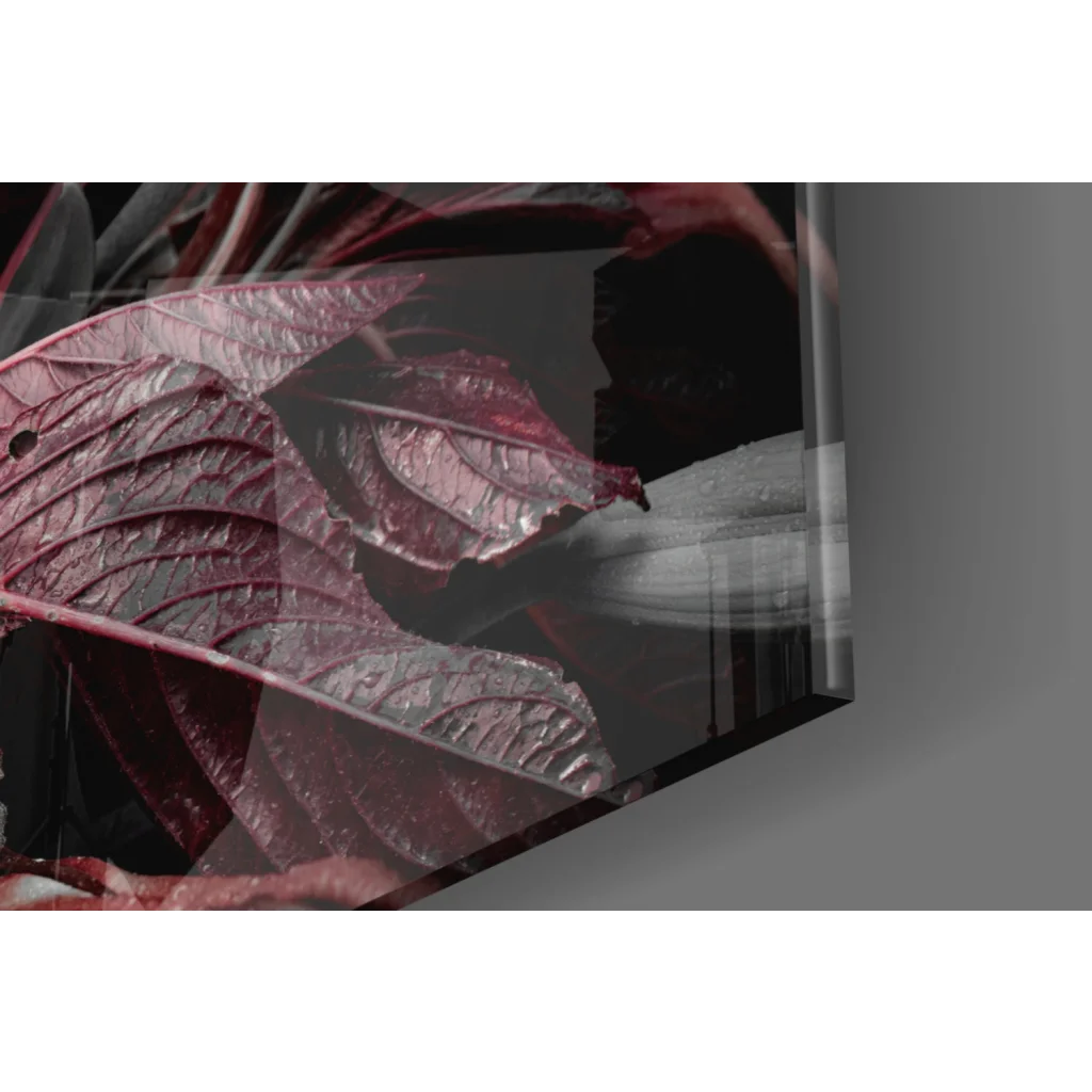 Stunning red lily glass wall art on black canvas with vivid leaf veining