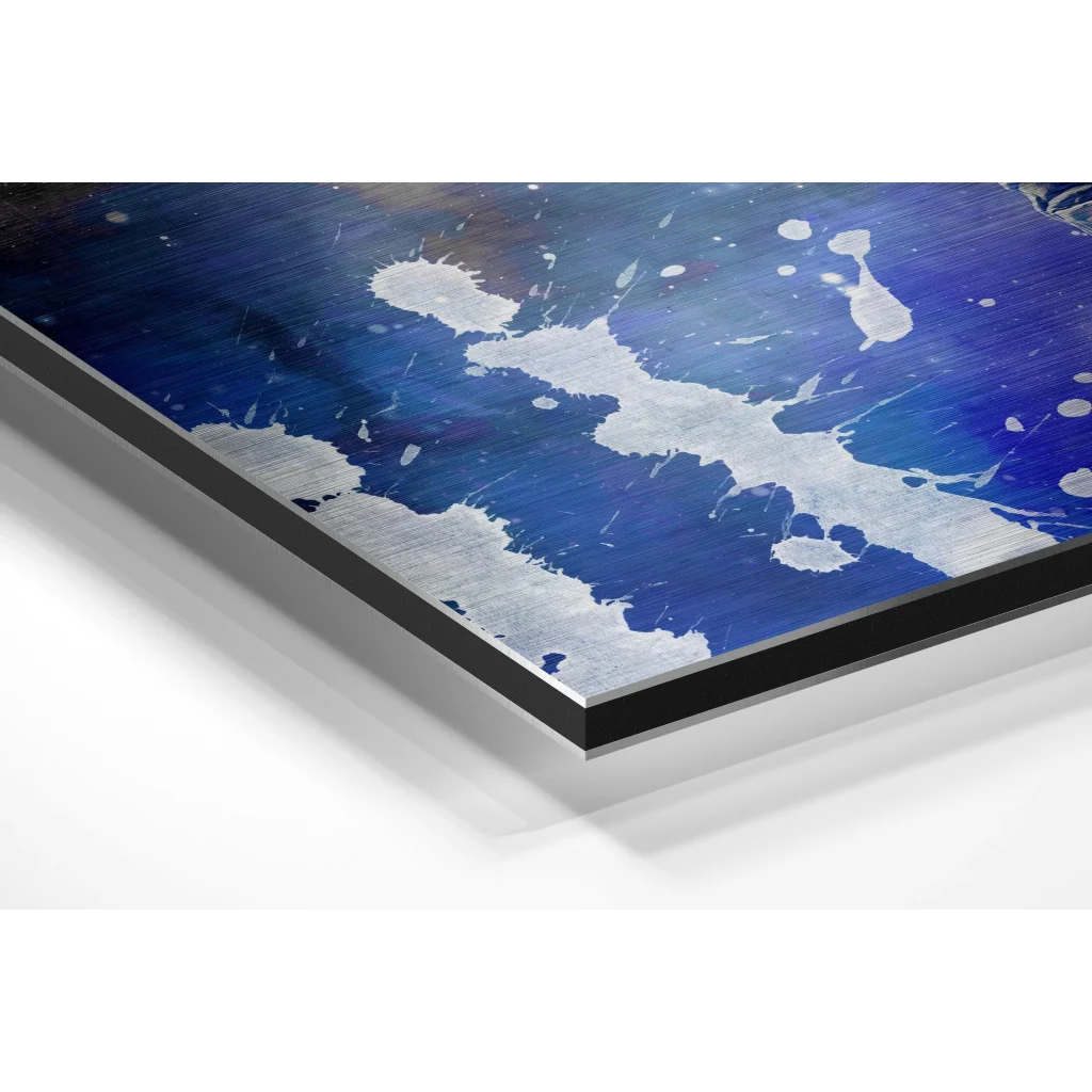 Glass Wall Art Fly in Space Brushed Aluminium Dibond Wall Art