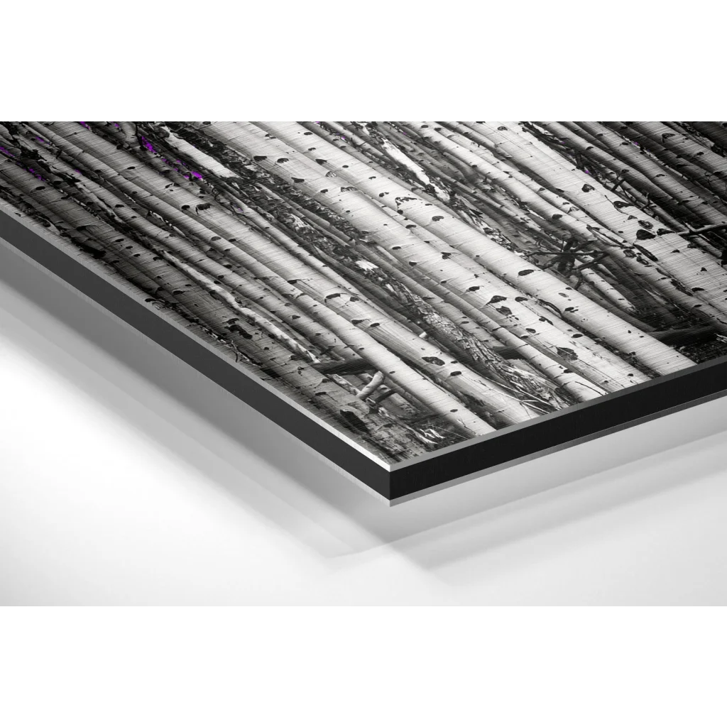 Forest Brushed Aluminium Dibond Wall Art