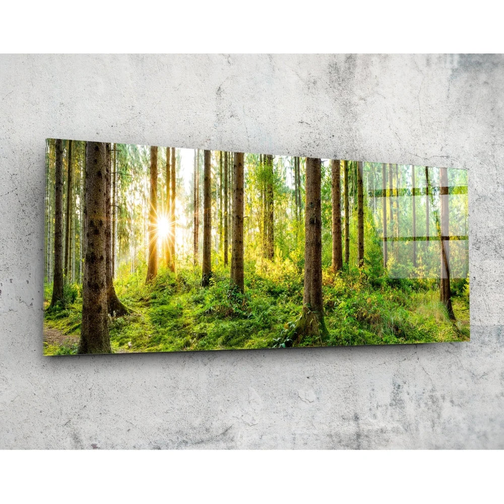 Golden Forest tempered glass art with sunlit trees and glossy finish