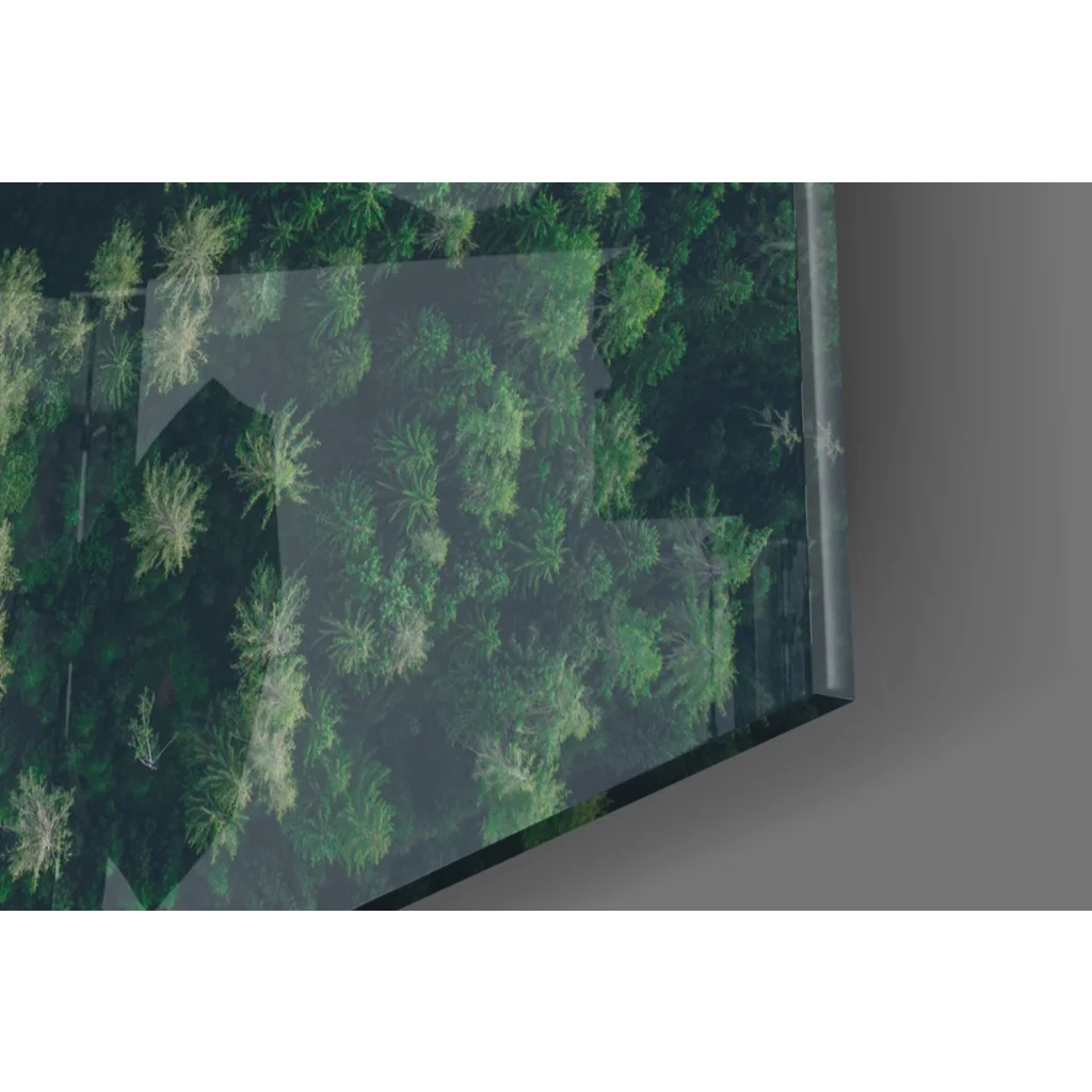 Sleek transparent glass wall art with vibrant green forest path scene