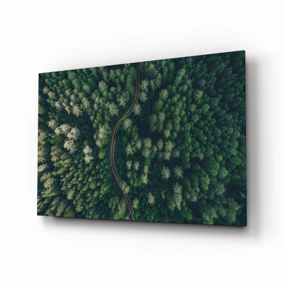 Lush Forest Path Glass Wall Art Print | Insigneart USA | vintageantiquesgifts.com