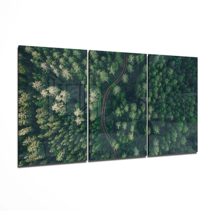 Stunning green forest aerial view wall art with winding road through trees