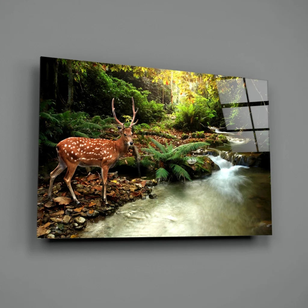 Brown spotted deer by stream in lush forest, glass wall art print