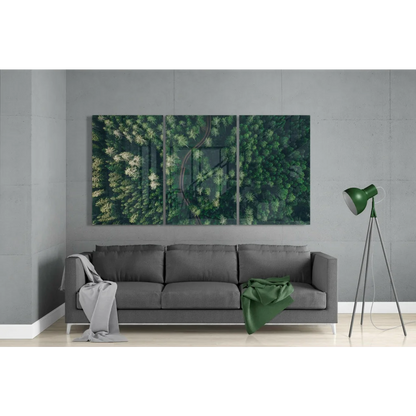 Stunning green forest aerial view wall art three panel canvas