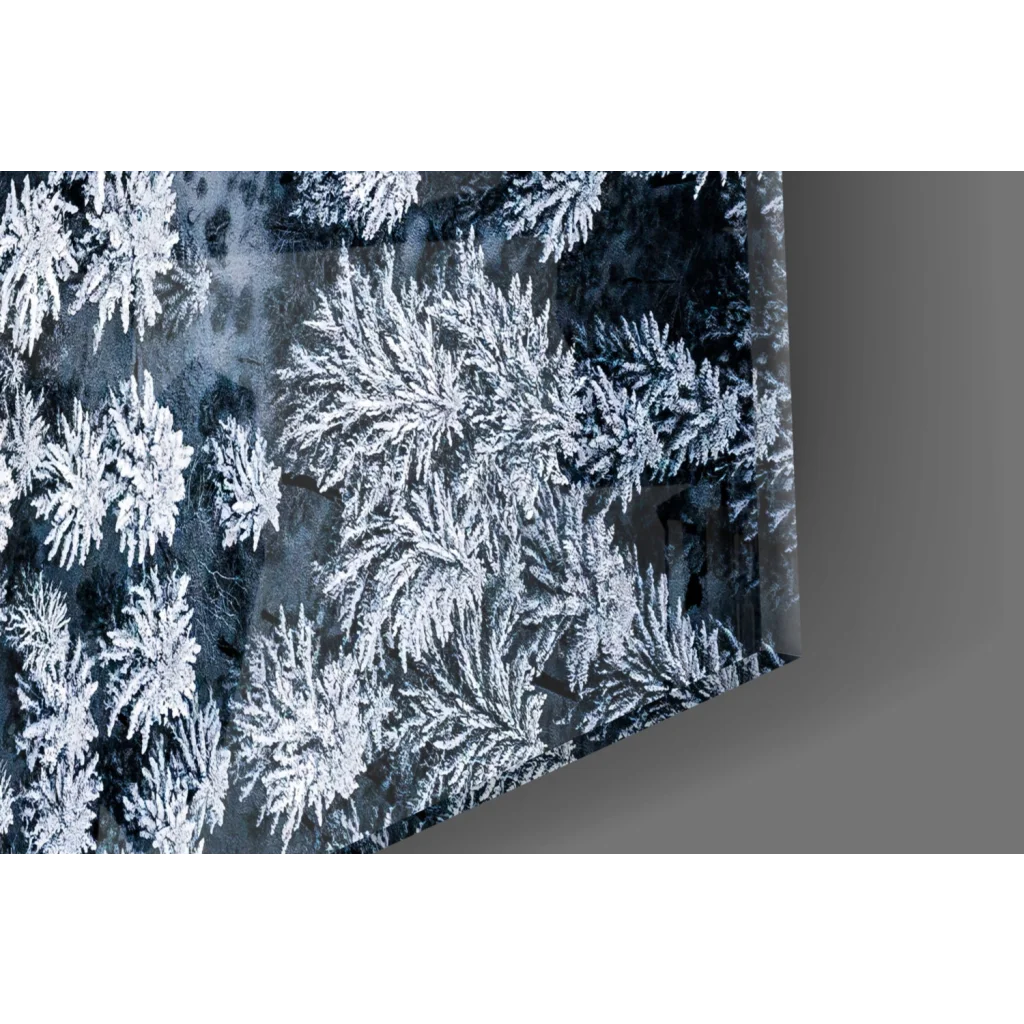 Sleek snowy forest road black and white canvas wall art with frost patterns