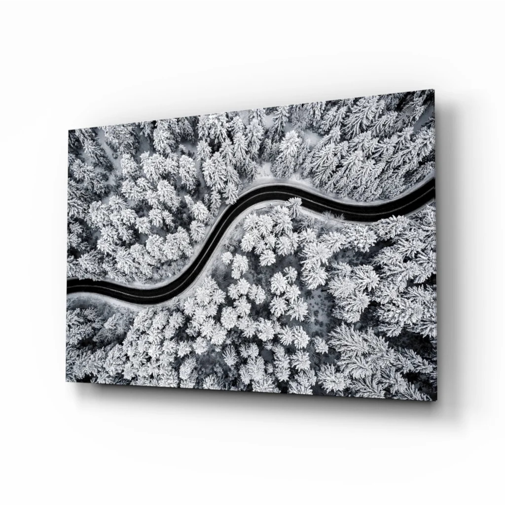 Snowy Forest Road Aerial View Canvas Wall Art | Insigneart USA | vintageantiquesgifts.com