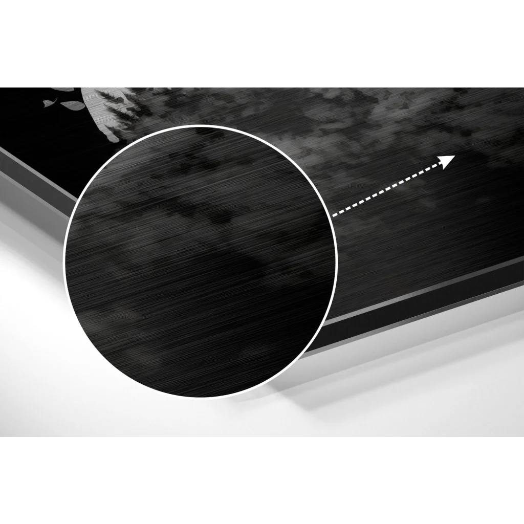 Stunning brushed aluminium dibond nature art print in black frame