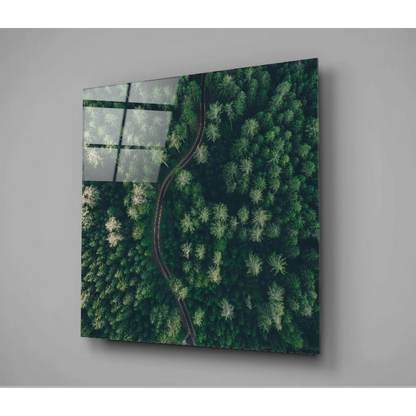 Stunning Forest Canopy Glass Wall Art with Aerial Road View | Modern Wall Art Decor | vintageantiquesgifts.com