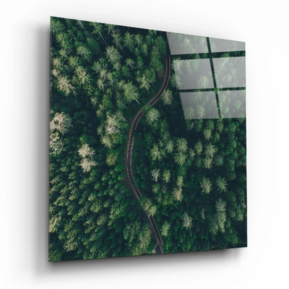 Stunning Forest Canopy Glass Wall Art with Aerial Road View | Insigneart USA | vintageantiquesgifts.com