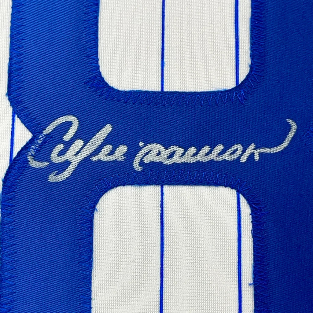 Blue and white striped Andre Dawson Cubs signed baseball jersey ready to hang on your wall