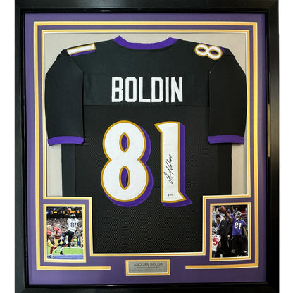 Framed autographed black and purple baltimore ravens jersey with white number 81 and name boldin displayed from back