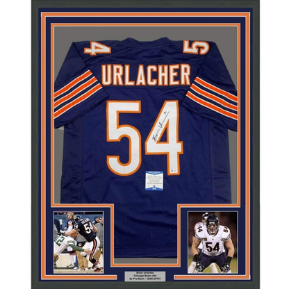 Framed autographed Brian Urlacher Chicago Bears navy blue jersey back, #54