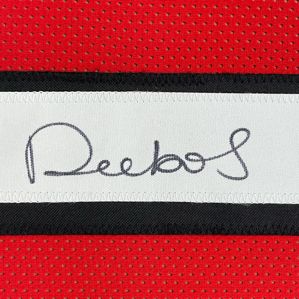 Framed Autographed Deebo Samuel 35x39 San Francisco Red Alternate Football Jersey JSA COA | Certified Authentic Signed Memorabilia | vintageantiquesgifts.com