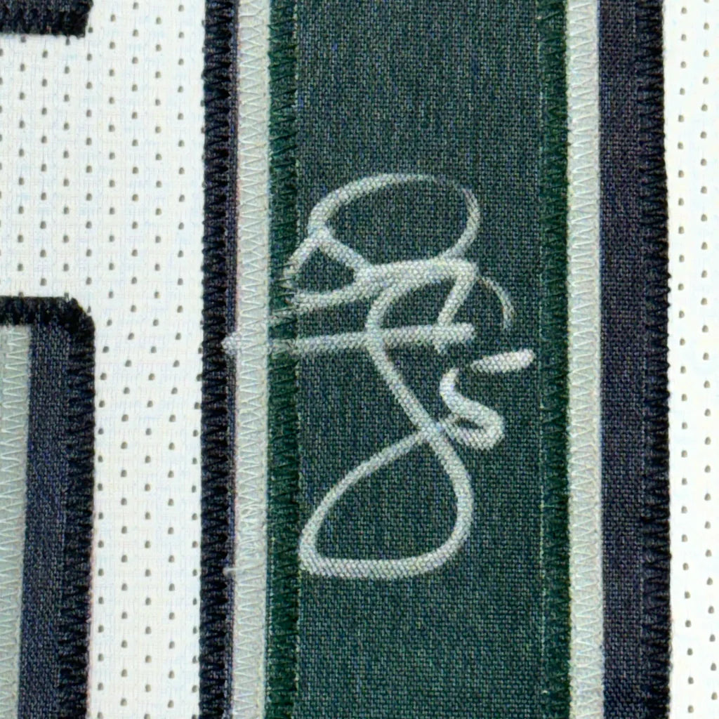 Autographed Donovan McNabb Eagles jersey fabric ready to hang on your wall