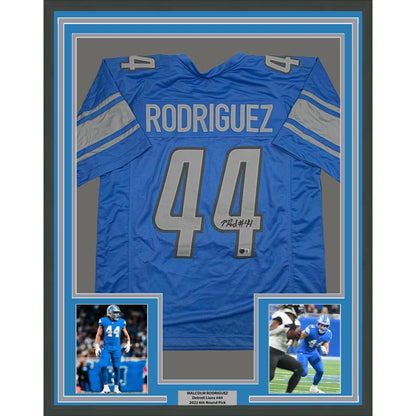 Back of framed autographed Malcolm Rodriguez Detroit Lions blue jersey #44