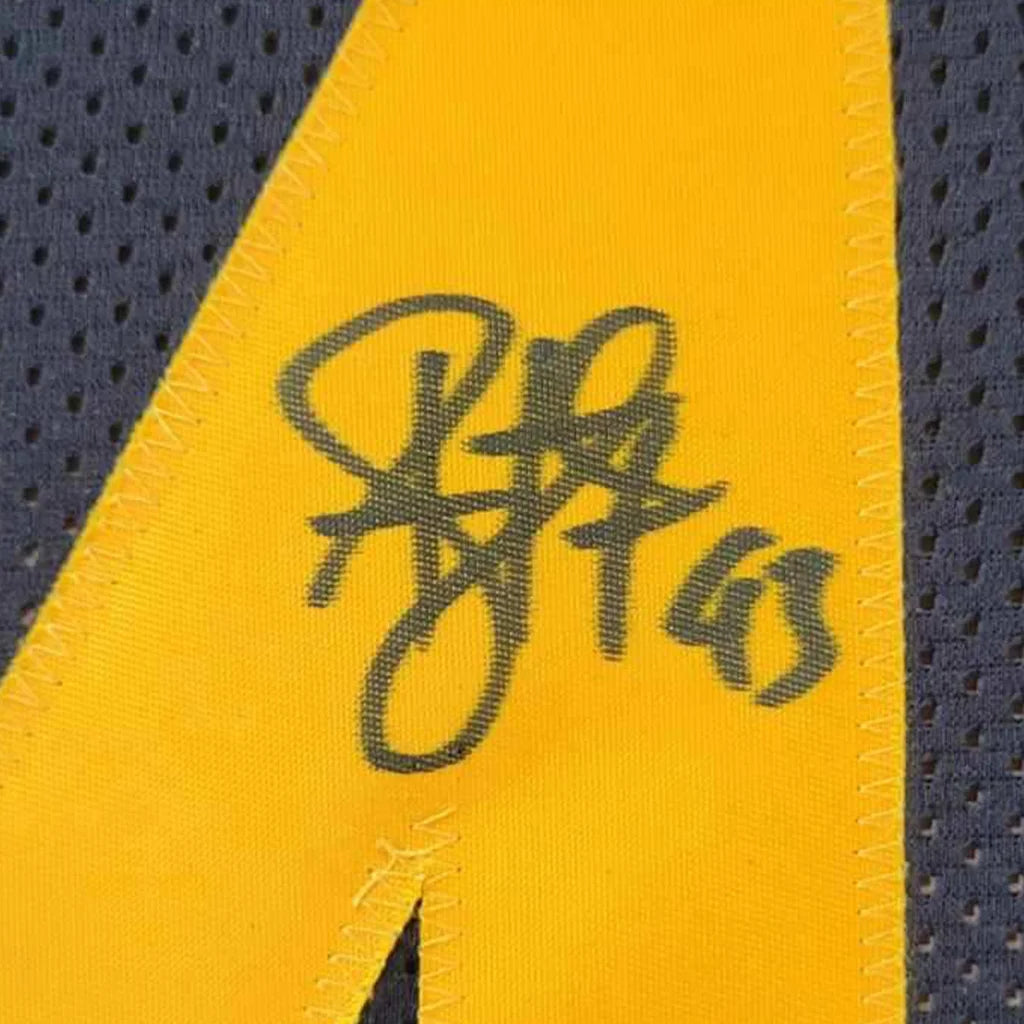 Framed Autographed Troy Polamalu 35x39 Pittsburgh Color Rush Football Jersey Beckett BAS COA | Certified Authentic Signed Memorabilia | vintageantiquesgifts.com