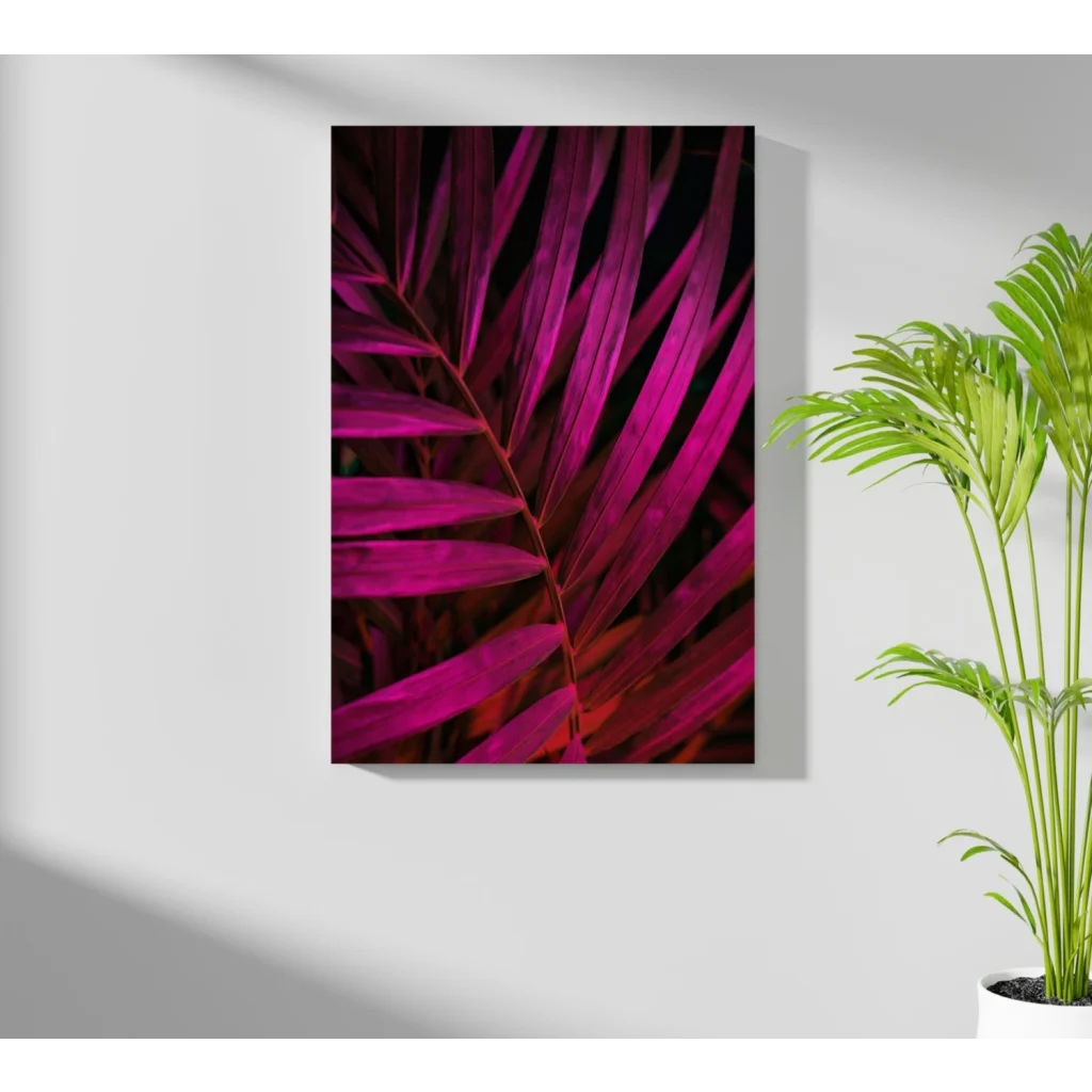 Vibrant magenta palm leaf insigne aluminum print on white wall
