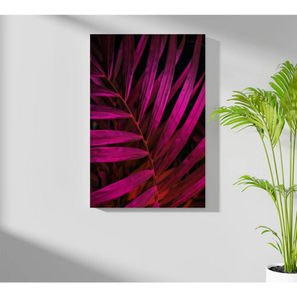 Vibrant magenta palm leaf insigne aluminum print on white wall