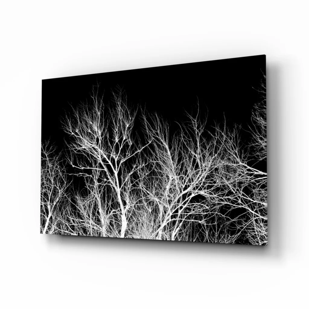 Black and white geometric tree branch glass wall art canvas print