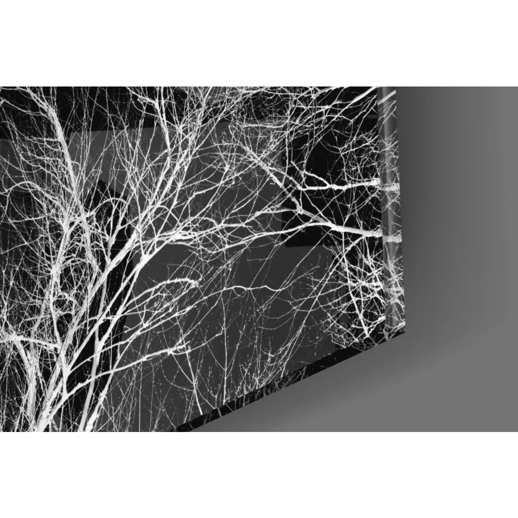 Geometric black and white tree branch glass wall art canvas print