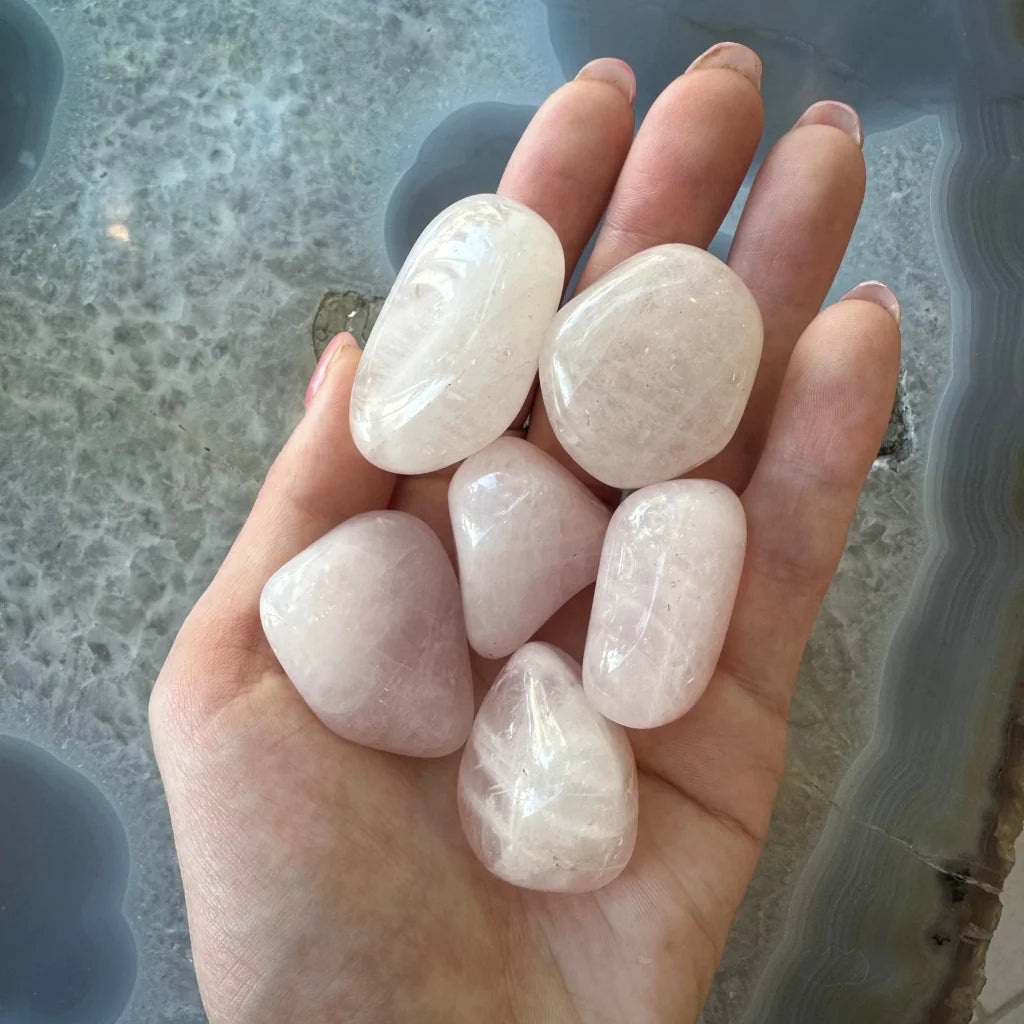 Hand holding five large tumbled rose quartz stones for crafts