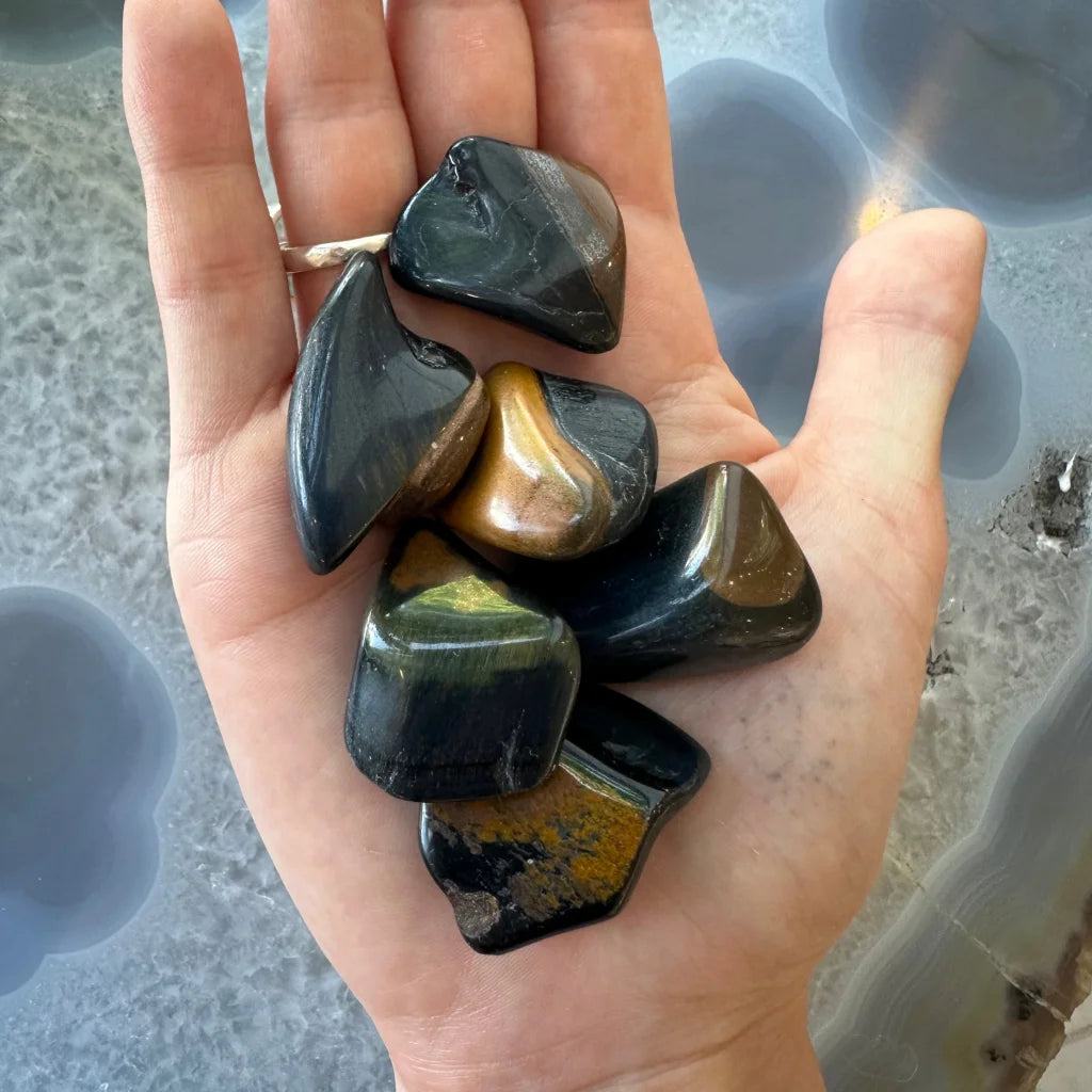 Hand holding giant large tumbled stone tiger eye collection