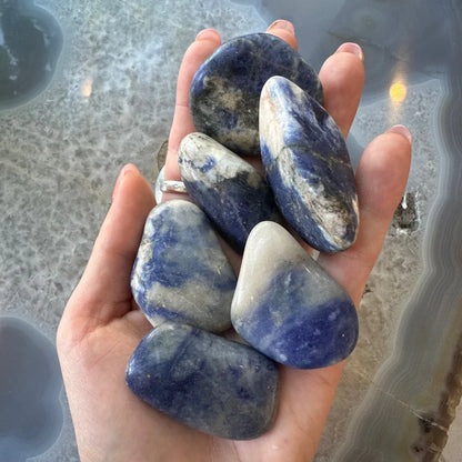 Hand holding large tumbled sodalite stones with blue veining for crafts