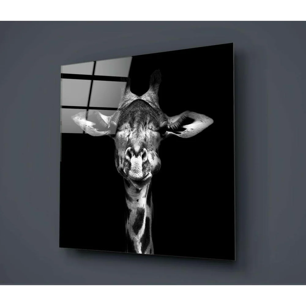 Stunning black-and-white giraffe portrait on sleek glass wall art panel