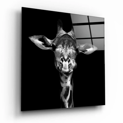 Stunning black and white giraffe portrait on reflective glass wall art