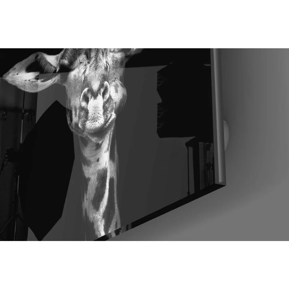 High-contrast black-and-white giraffe glass wall art