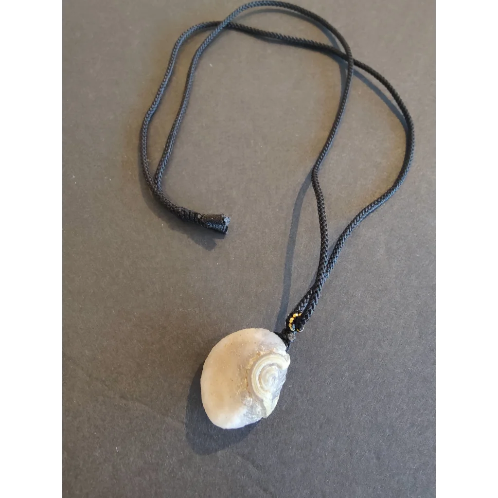 Gobi Desert Eye Agate pale cream seashell pendant on black cord necklace