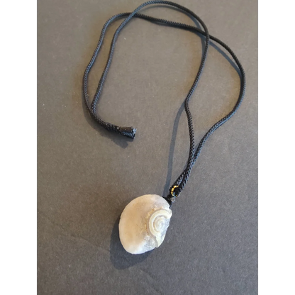 Gobi Desert Eye Agate pale cream seashell pendant on black cord necklace