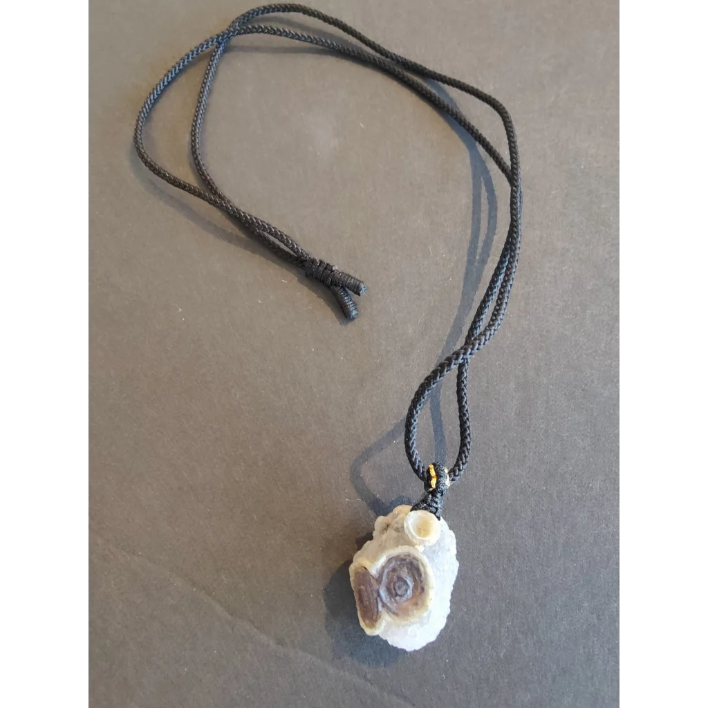 Gobi Desert Eye Agate fossil shell pendant on black cord necklace