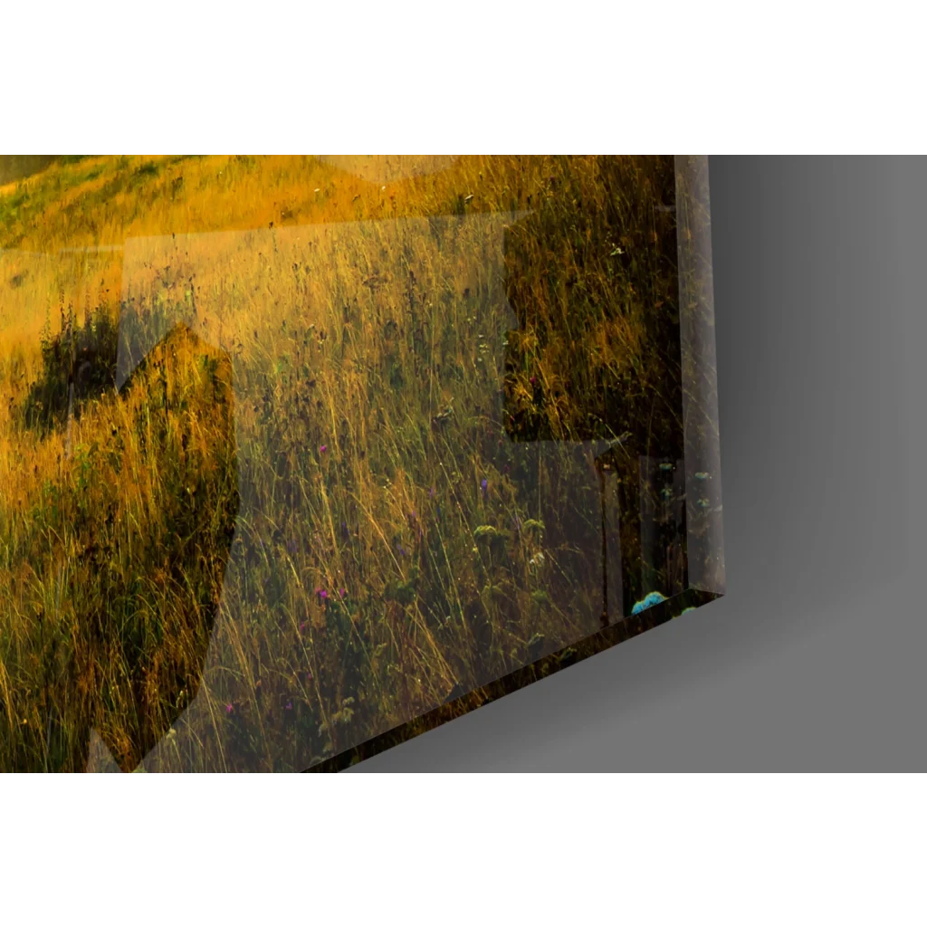 Golden Mountain Sunrise canvas wall art print of sunny field