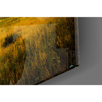 Golden Mountain Sunrise canvas wall art print of sunny field