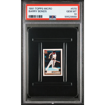 A graded 1991 Topps Micro Barry Bonds baseball card in PSA case