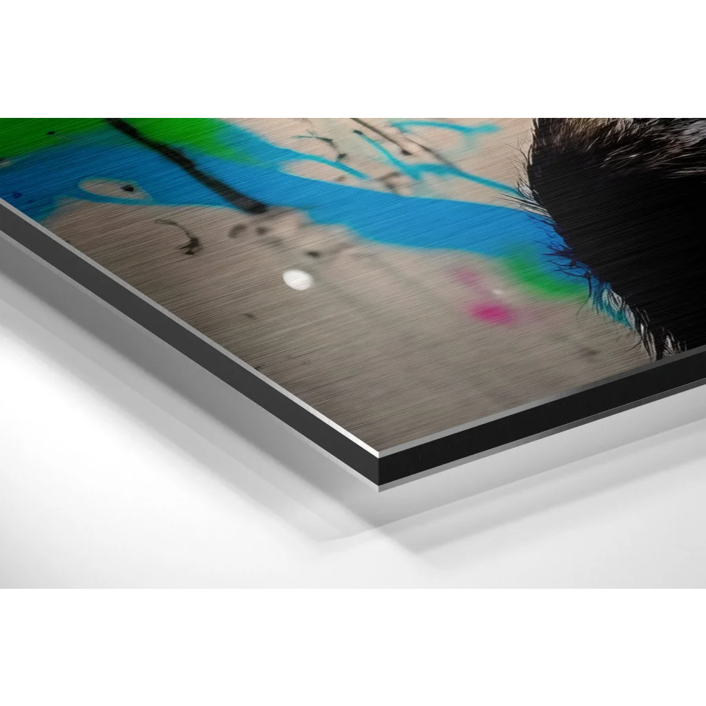 Vibrant graffiti chimp on brushed aluminium dibond print