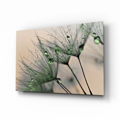 Close-up dewy dandelion seeds on canvas wall art
