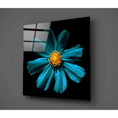 Vibrant turquoise cosmos glass wall art with golden center on black