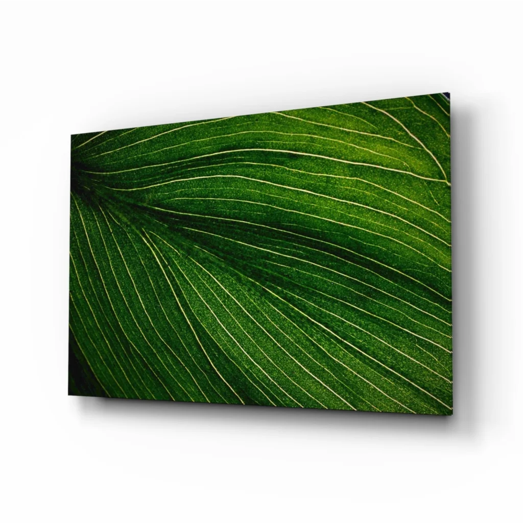 Stunning Green Leaf Glass Wall Art with Intricate Vein Detail | Insigneart USA | vintageantiquesgifts.com
