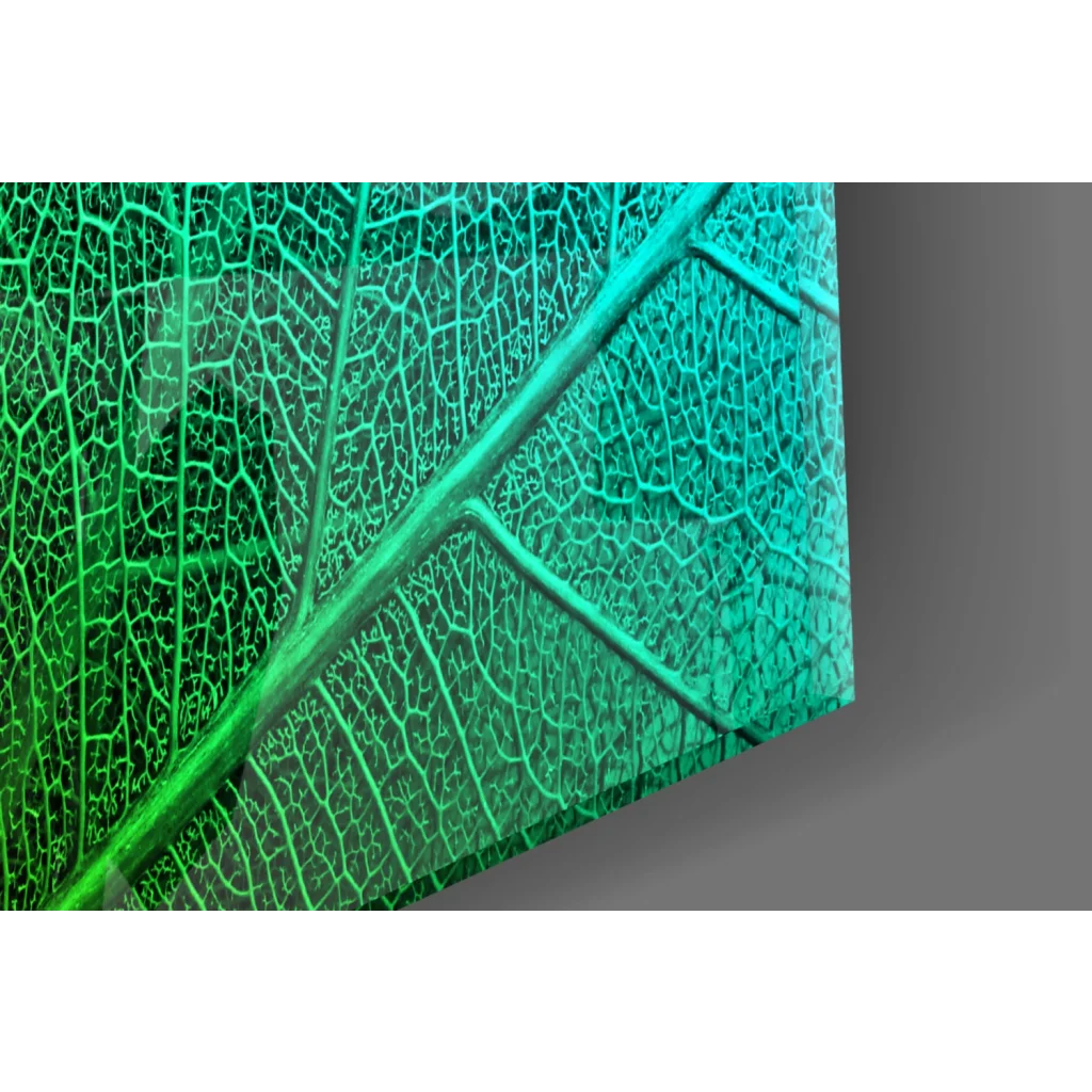Vibrant teal and green tropical leaf canvas wall art with intricate veins