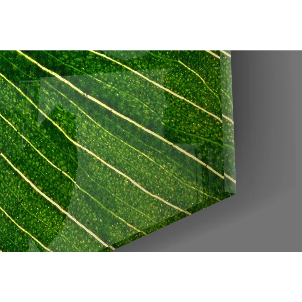 Vibrant green leaf with yellow veins in glossy glass wall art