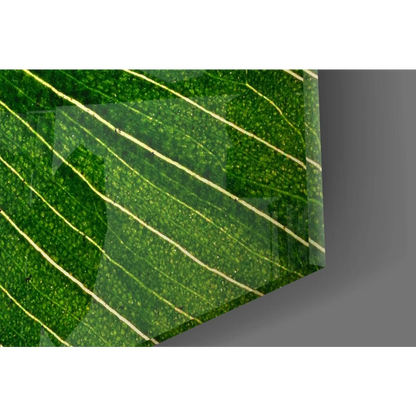 Vibrant green leaf with yellow veins in glossy glass wall art