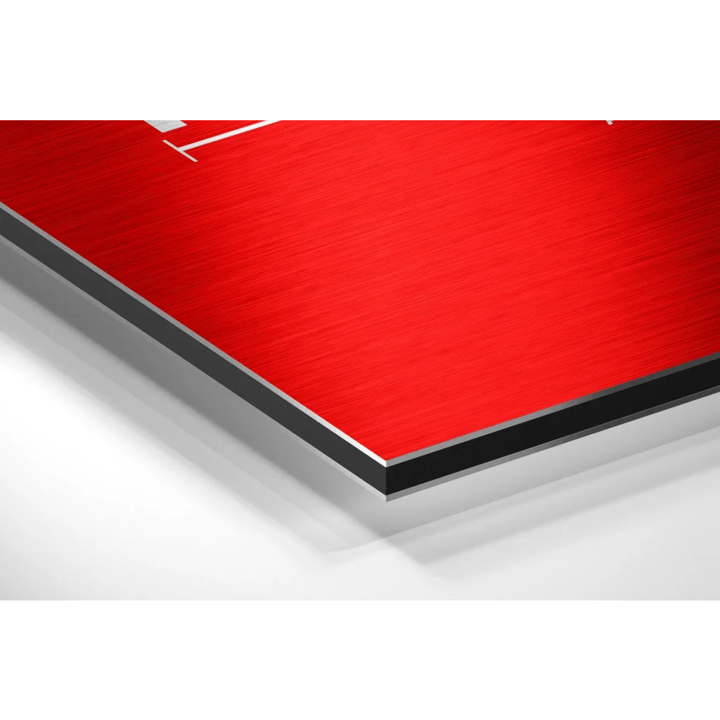 Red brushed aluminium dibond wall art with black edge and silver trim