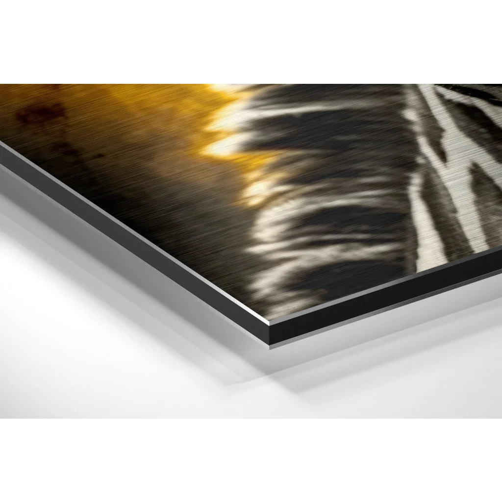 Glass Wall Art Stunning brushed aluminium dibond zebra print art